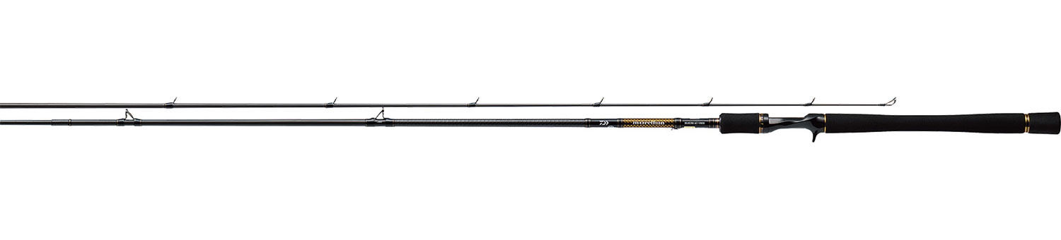 Daiwa Morethan Branzino AGS BAITCASTING